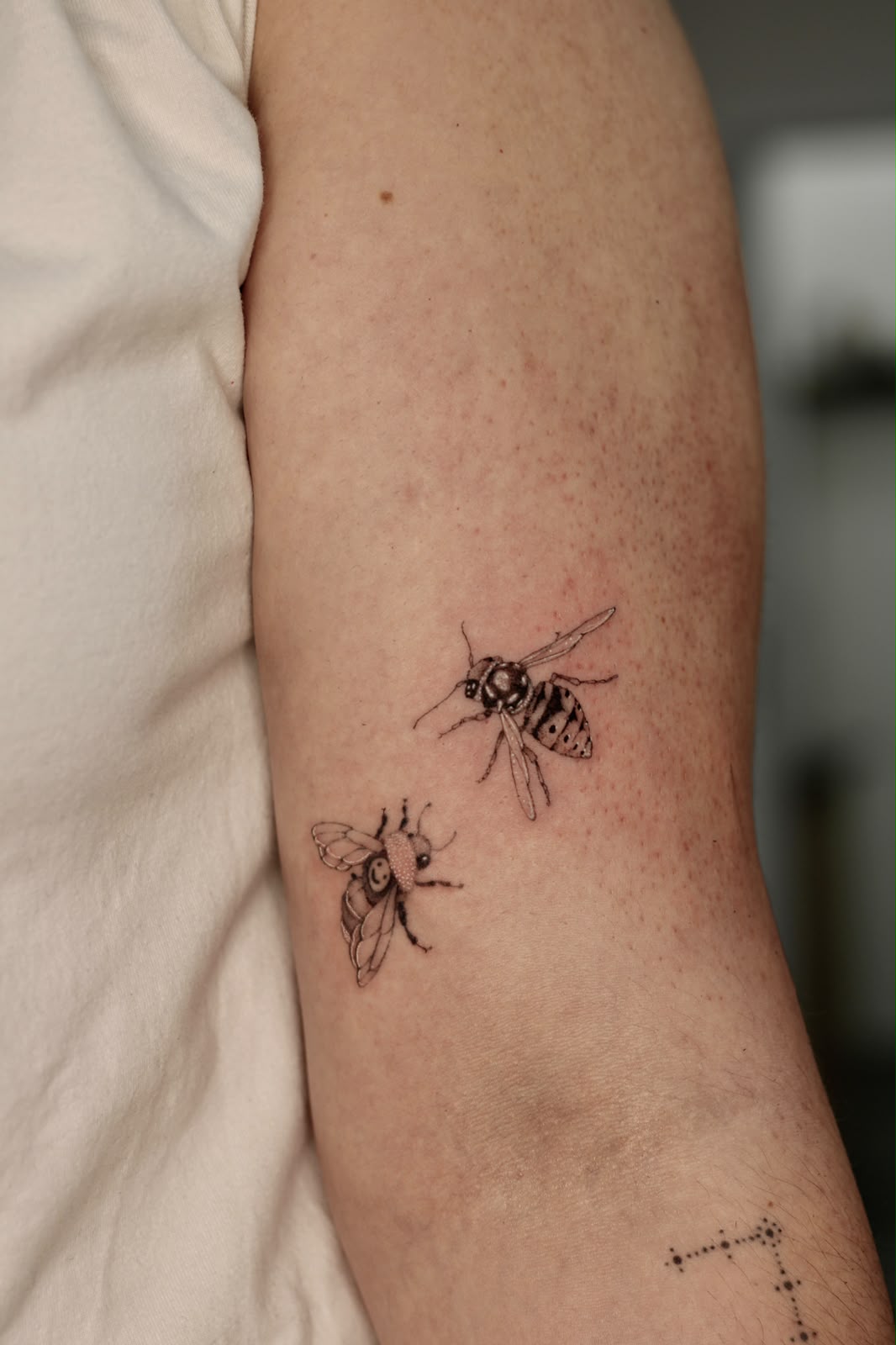 blanka fineline bees