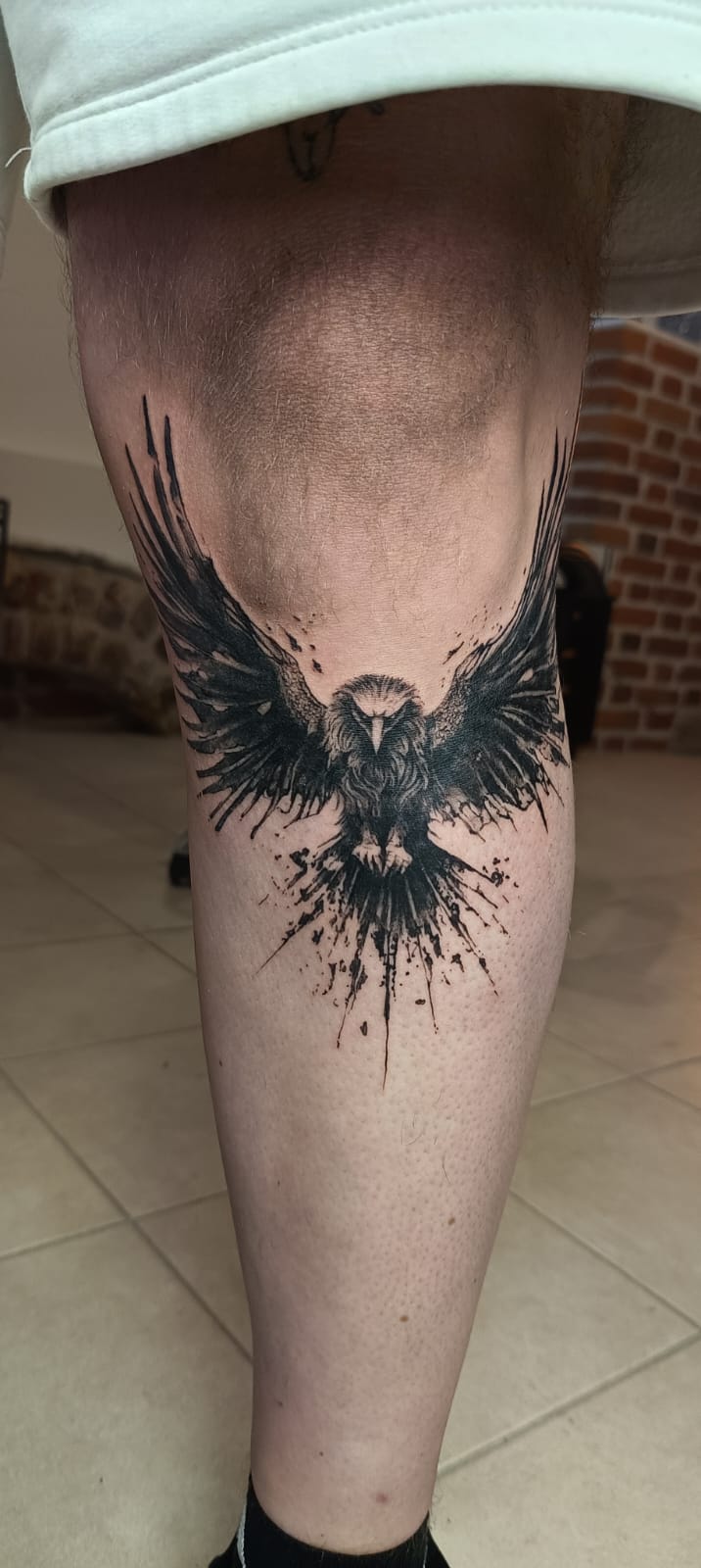 kamil realistic hawk
