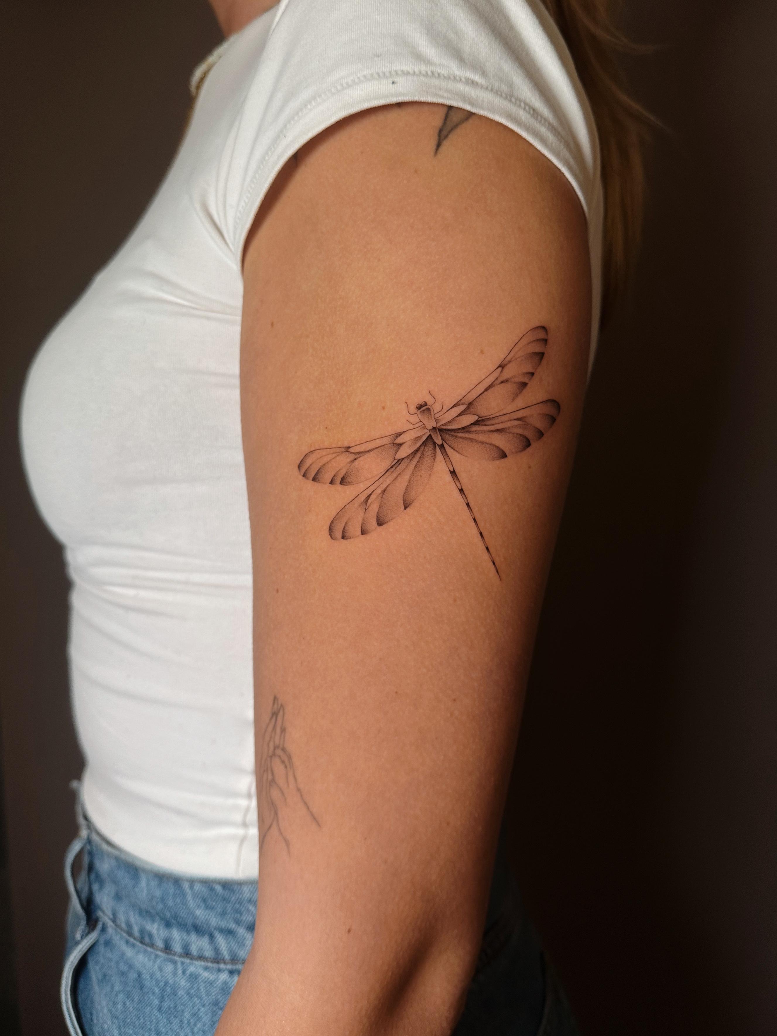 rabea fineline dragonfly