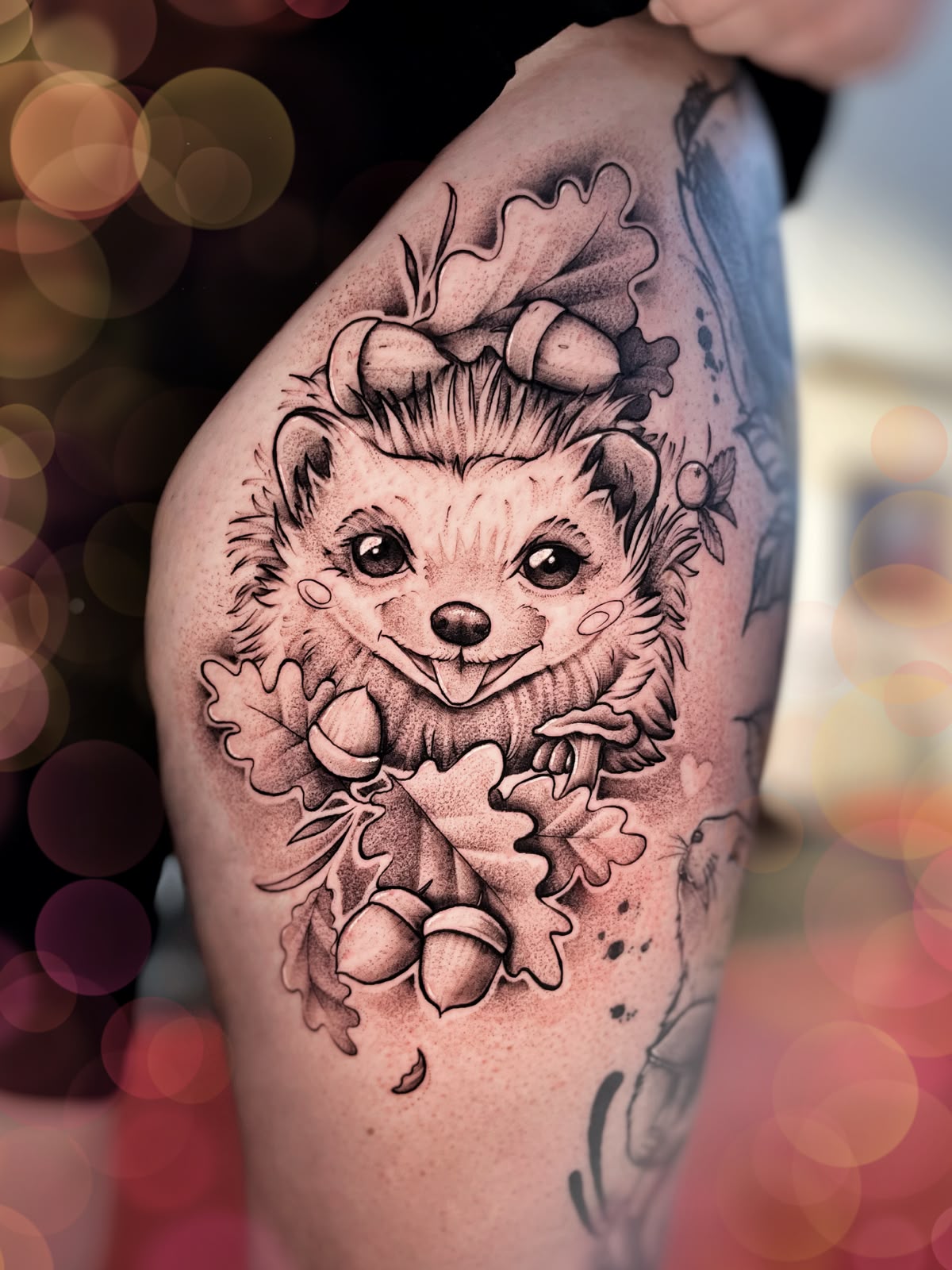 Anita – anita cartoon hedgehog
