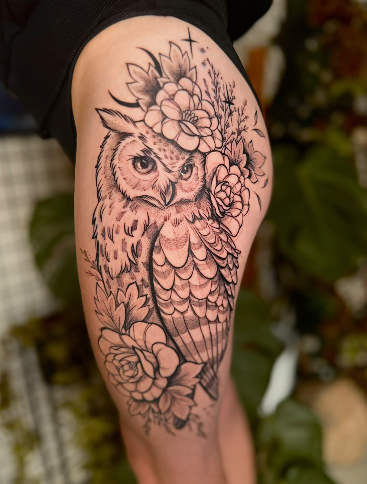 Anita – anita linework owl