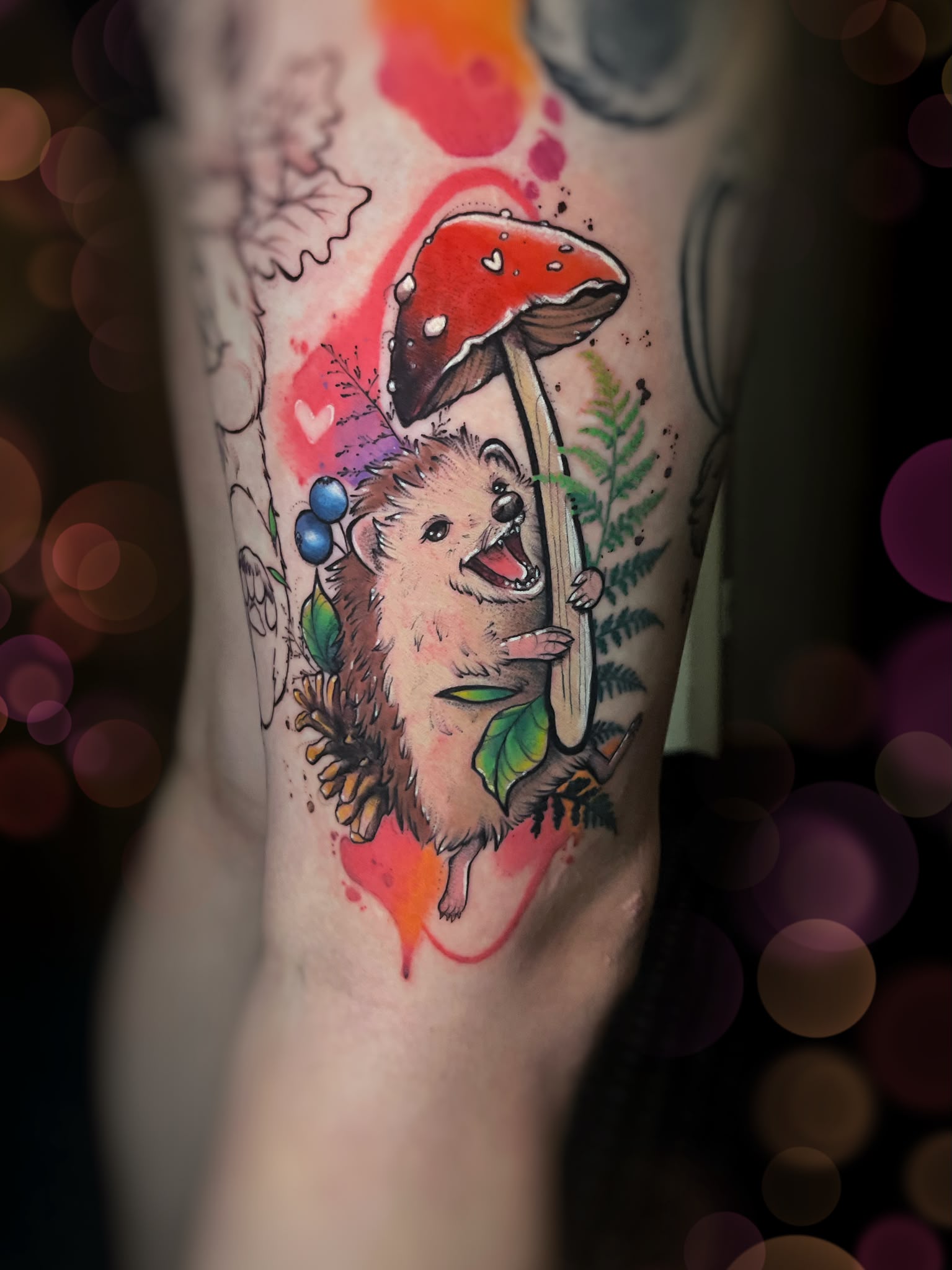 Anita – anita watercolor hedgehog