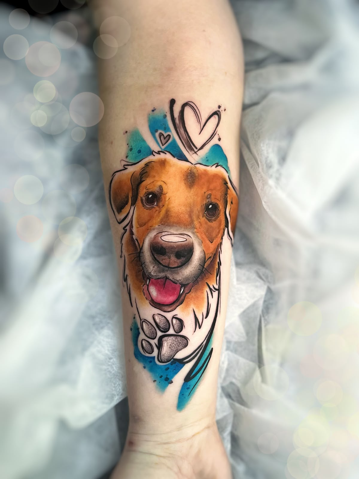 Anita – anita watercolor portrait dog