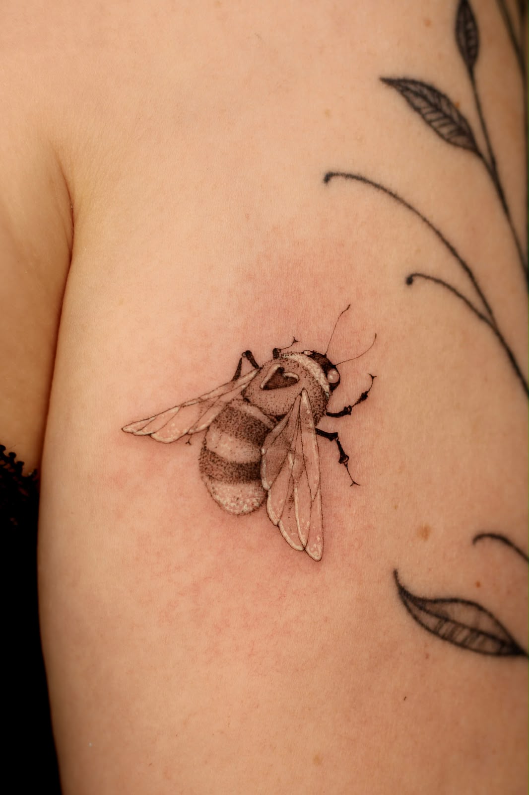 Blanka – blanka fineline bee