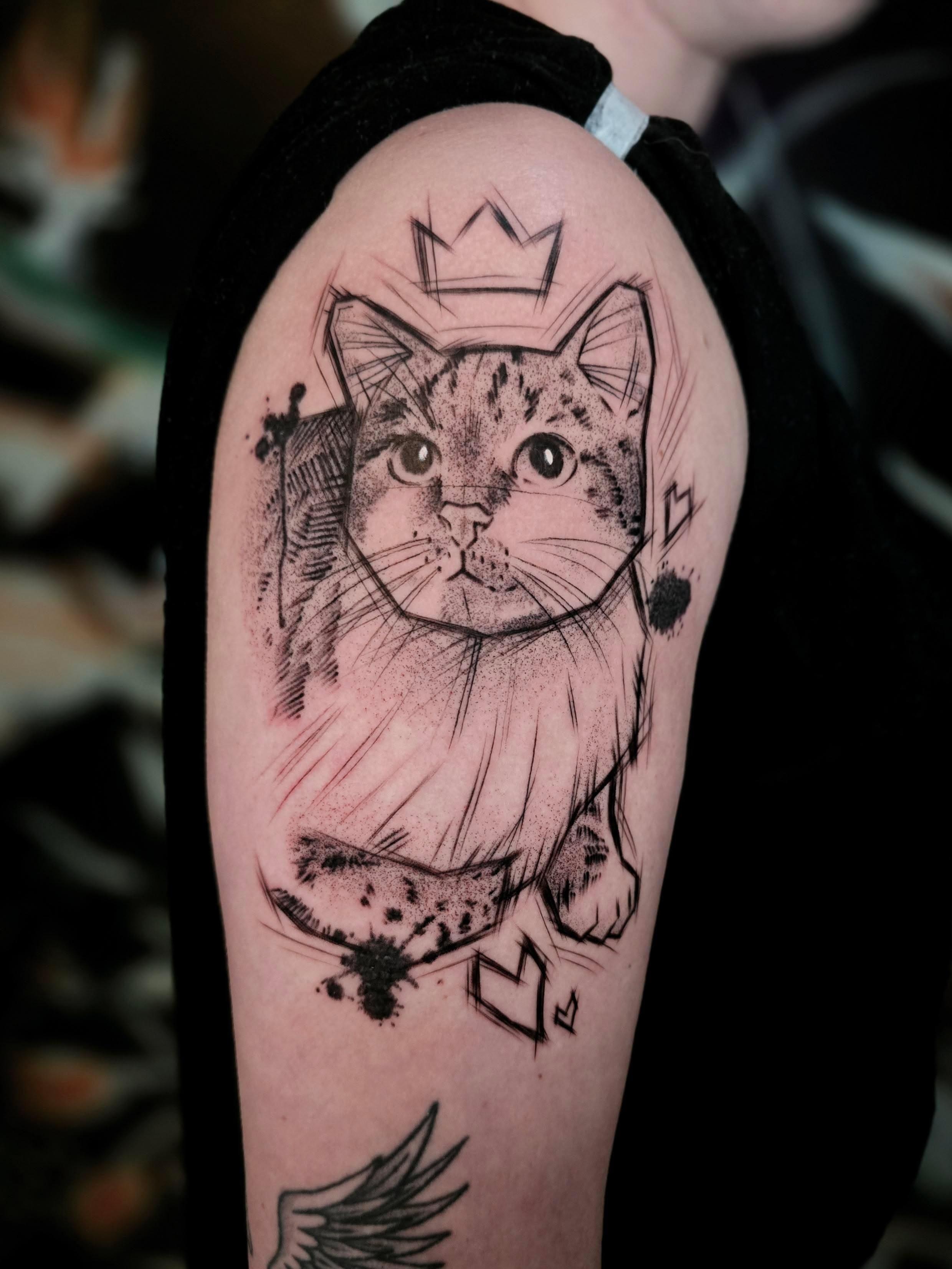 Iza – iza illustrative cat