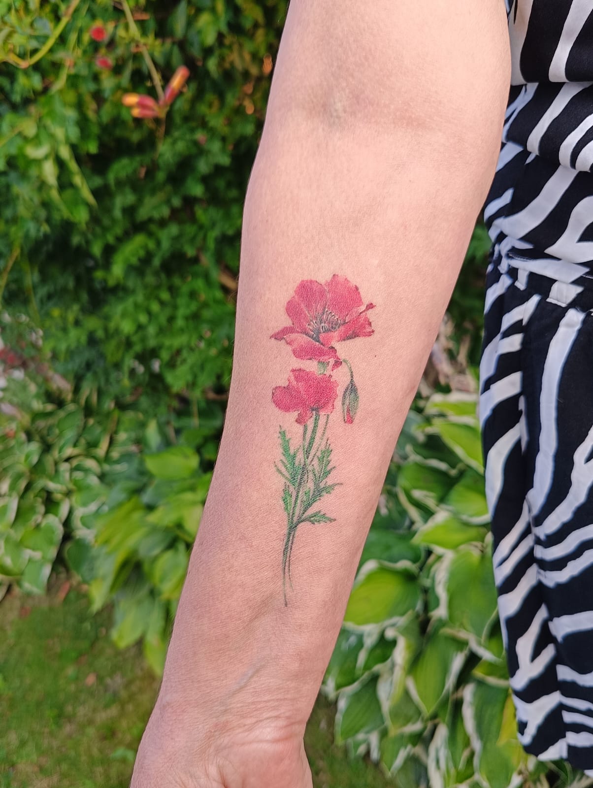 Kamil – kamil color flower1