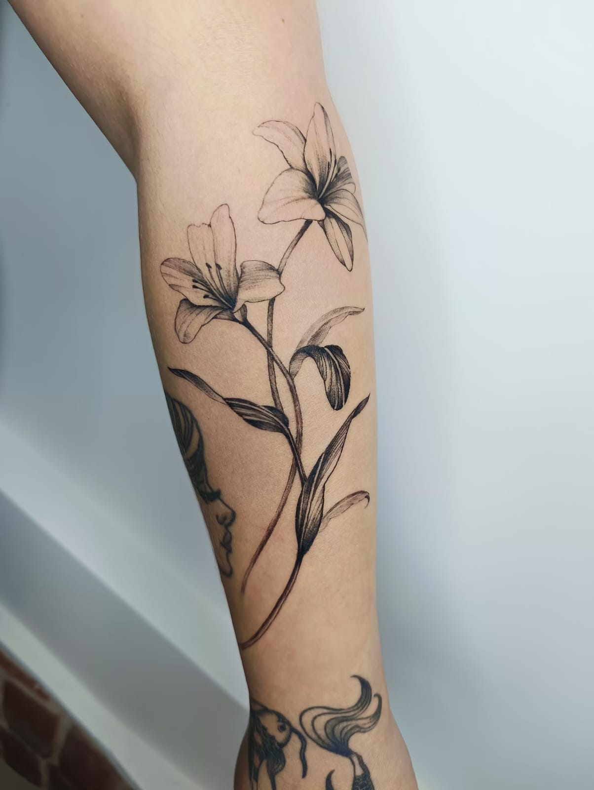 Kamil – kamil fineline flowers