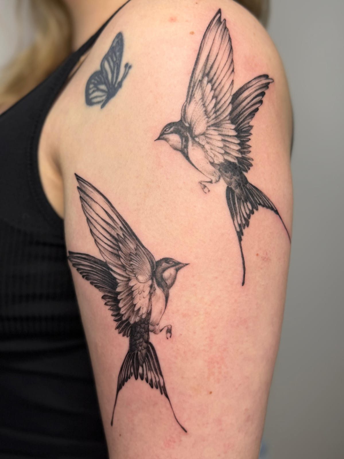 Kamil – kamil realism birds