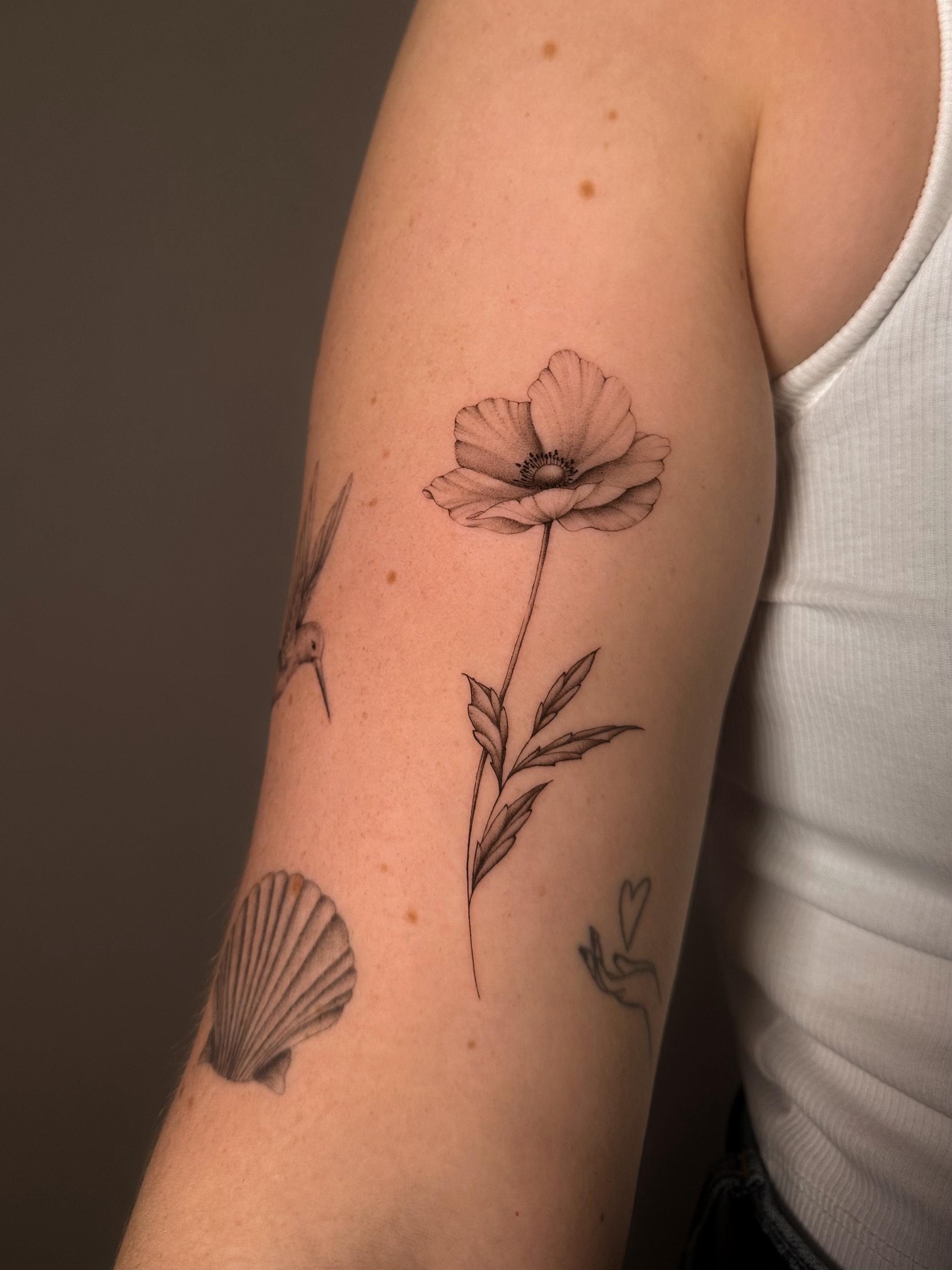 Rabea – rabea fineline flowers4